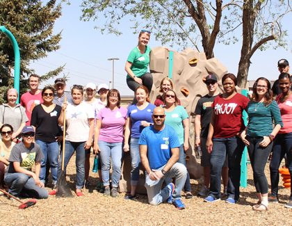 Give back during November Volunteer Days