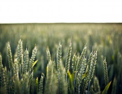 Unlike any conference CPA Alberta has hosted before: the unConference for early career CPAs