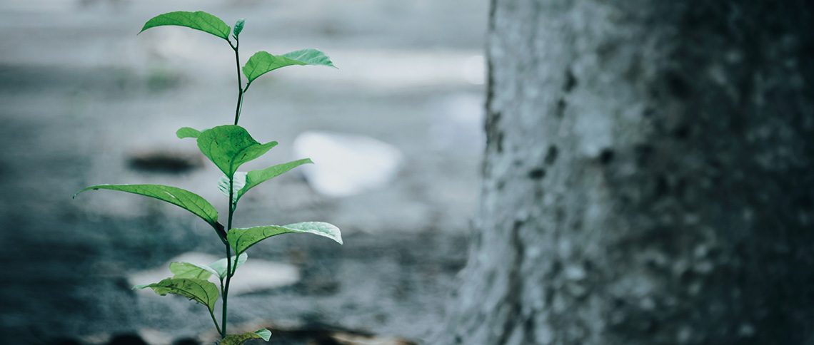 ESG momentum presents an opportunity for CPAs