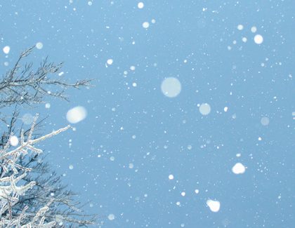 A message from CPA Alberta CEO, Rachel Miller FCPA, FCA