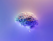 Mindset and enabling skills of professional accountants
