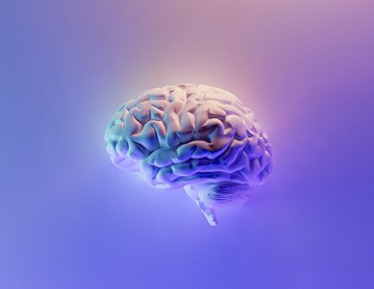 Mindset and enabling skills of professional accountants