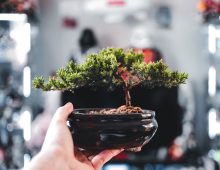 What a sustainable career means for CPAs