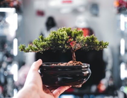 What a sustainable career means for CPAs