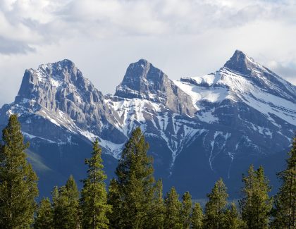 Transform your leadership