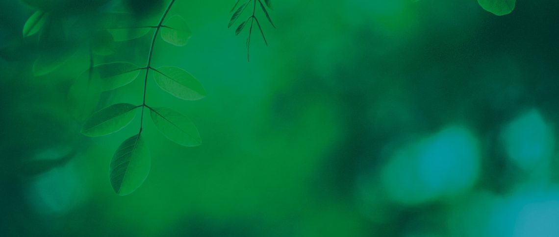 Four takeaways from the 6th annual CPA Assist Wellness Conference