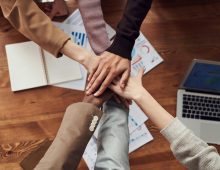 Upcoming opportunities for Edmonton CPAs